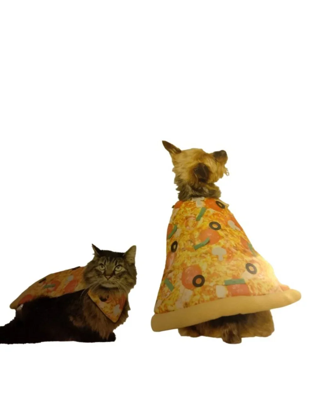 Vibrant Life Pizza Costume Dog Cat Halloween Pet Outfit XS  X Small